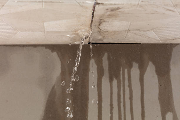 Professional Water Damage Inspection technician working in Georgetown, TX